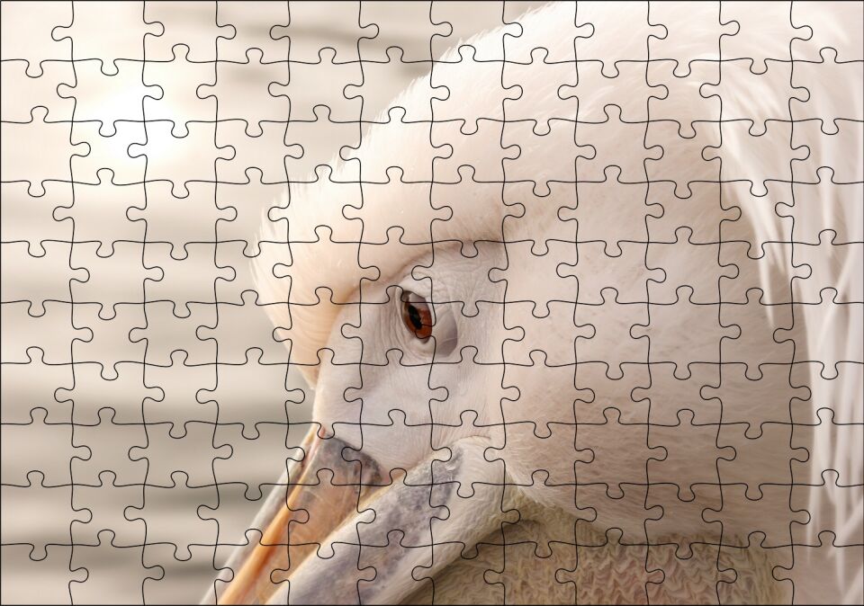 Pelikan Yakın Çekim Flu Arka Plan Puzzle Yapboz MDF Ahşap 120 Parça 24 cm X 34 cm