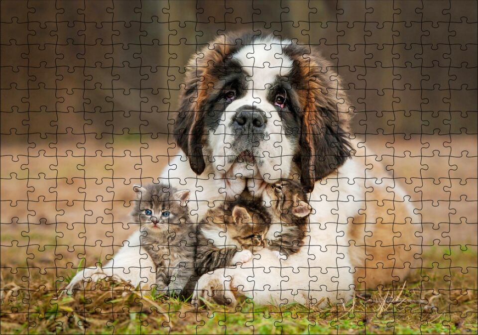 Çayırda Sen Bernard ve Kucağında Yavru Kediler Puzzle Yapboz MDF Ahşap 255 Parça 34 cm X 49 cm