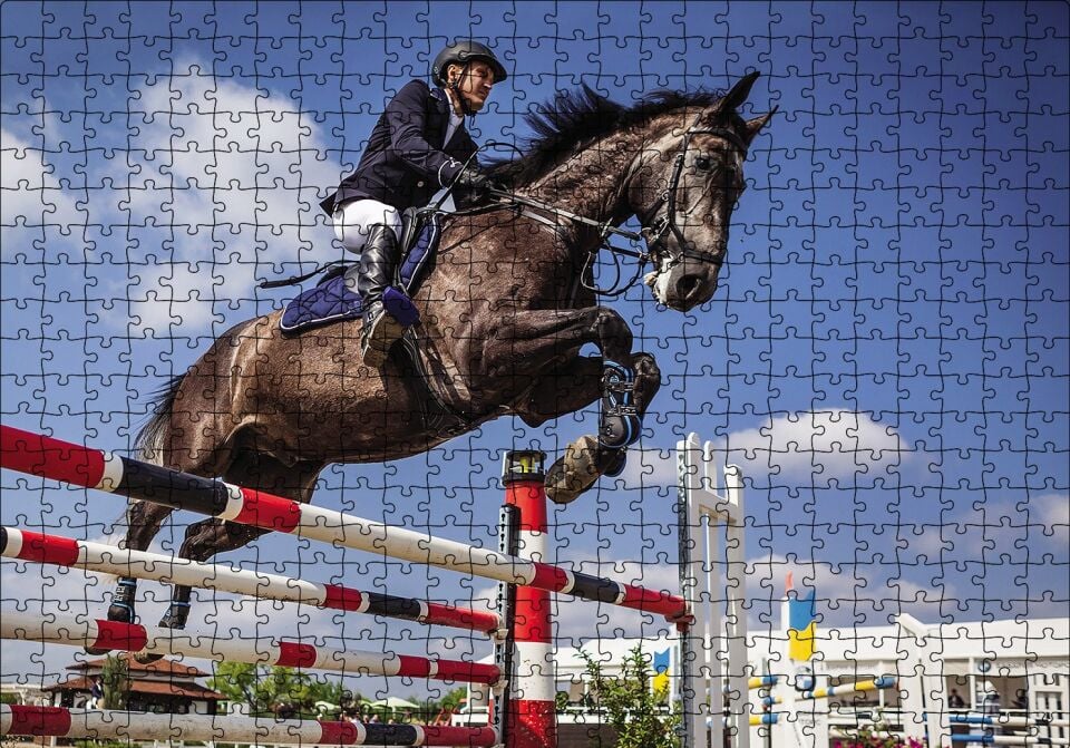 Engelleri Aşmak Puzzle Yapboz MDF Ahşap 500 Parça 49 cm X 68 cm