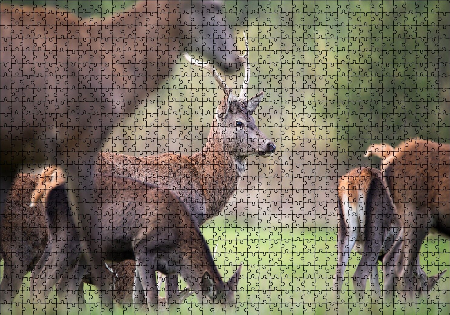 Çayırda Otlayan Geyikler Puzzle Yapboz MDF Ahşap 1000 Parça 49 cm X 68 cm