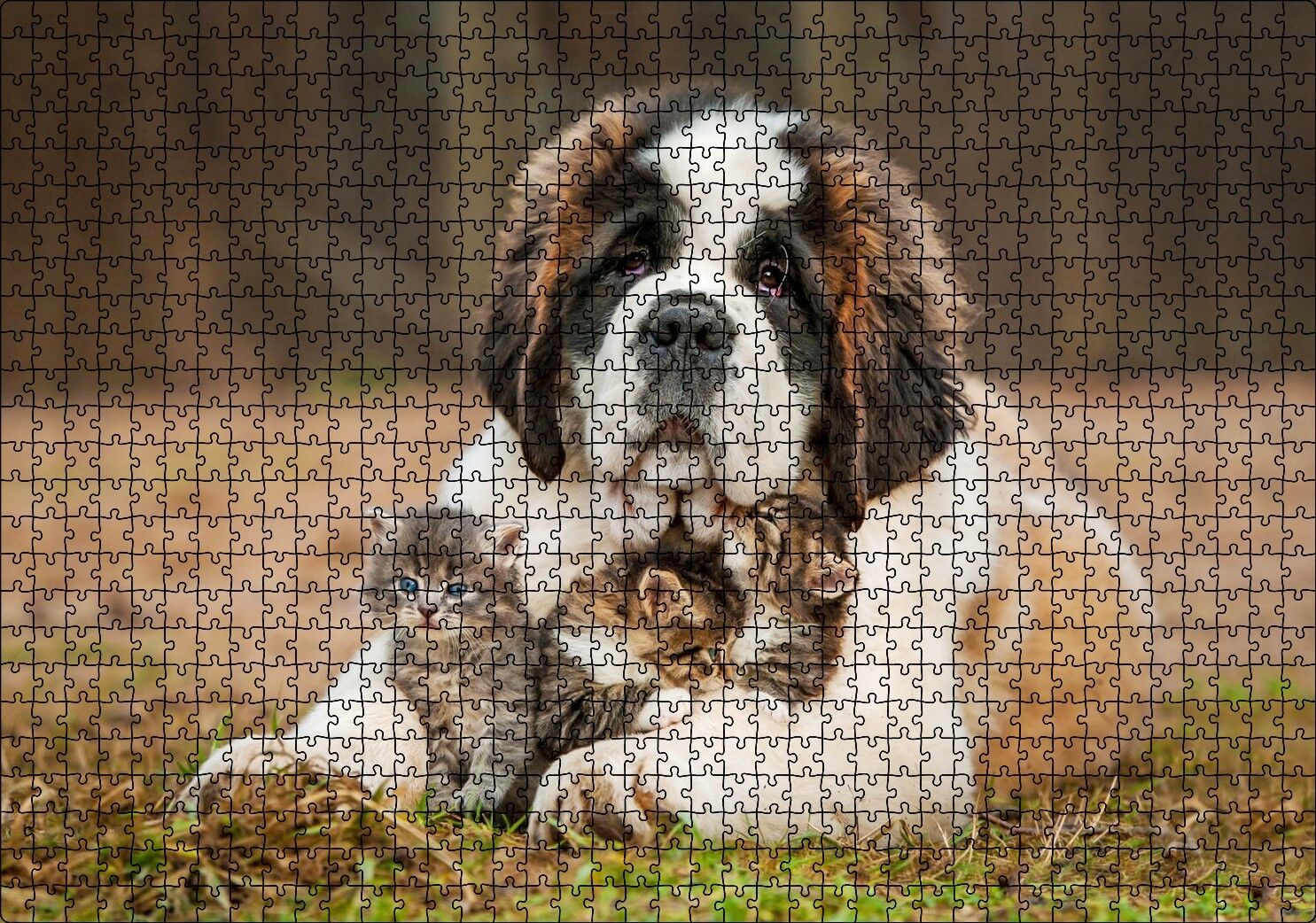 Çayırda Sen Bernard ve Kucağında Yavru Kediler Puzzle Yapboz MDF Ahşap 1000 Parça 49 cm X 68 cm