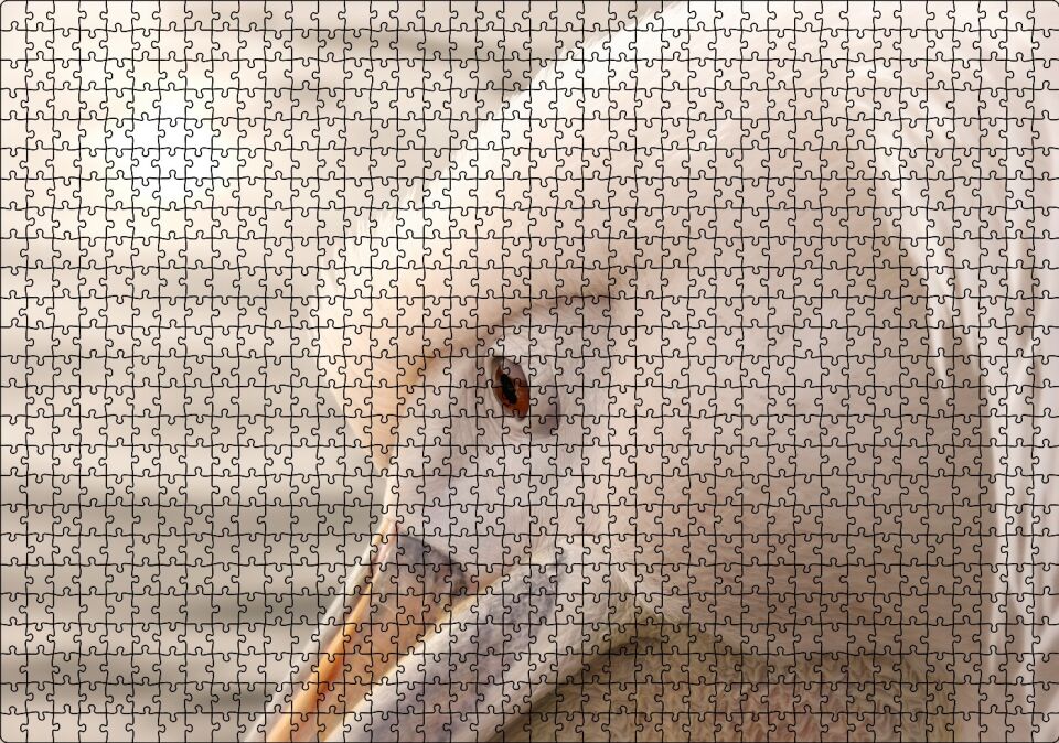 Pelikan Yakın Çekim Flu Arka Plan Puzzle Yapboz MDF Ahşap 1000 Parça 49 cm X 68 cm