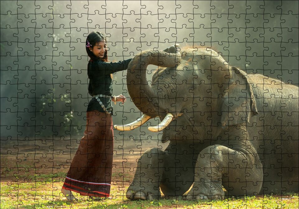 Çayırdaki Fil ve Onu Seven Kız Puzzle Yapboz MDF Ahşap 255 Parça 34 cm X 49 cm