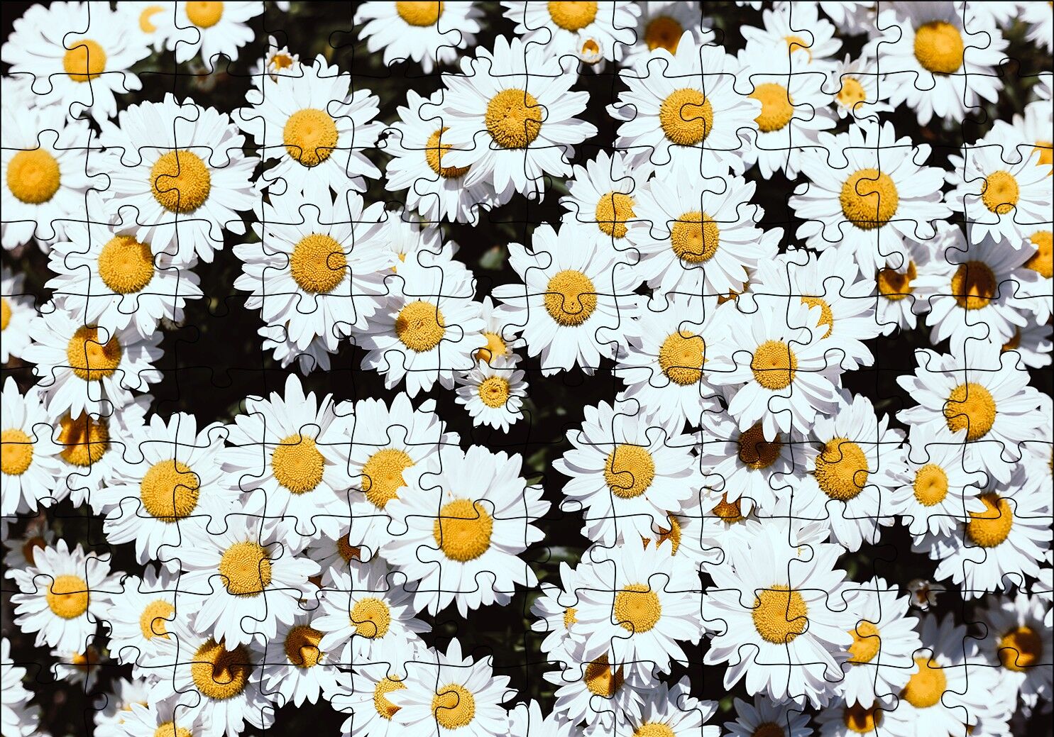 Bembeyaz Papatyalar Puzzle Yapboz MDF Ahşap 120 Parça 24 cm X 34 cm