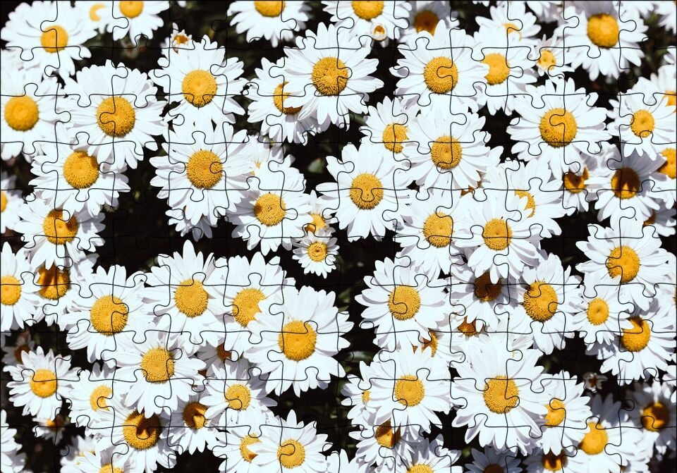 Bembeyaz Papatyalar Puzzle Yapboz MDF Ahşap 120 Parça 24 cm X 34 cm