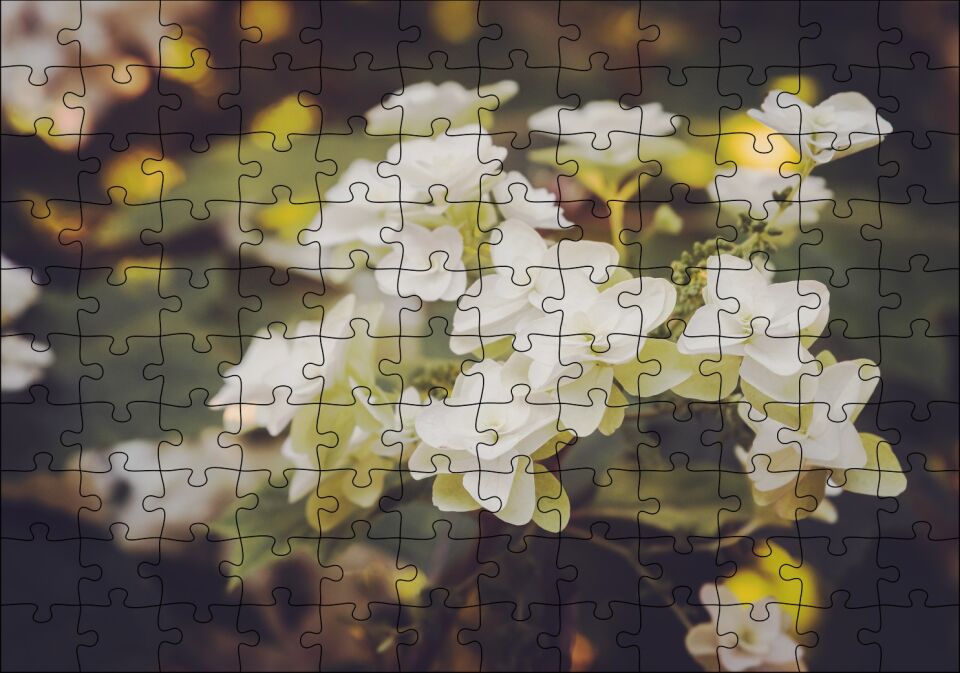 Dalda Bembeyaz Çiçekler Flu Arka Plan Puzzle Yapboz MDF Ahşap 120 Parça 24 cm X 34 cm