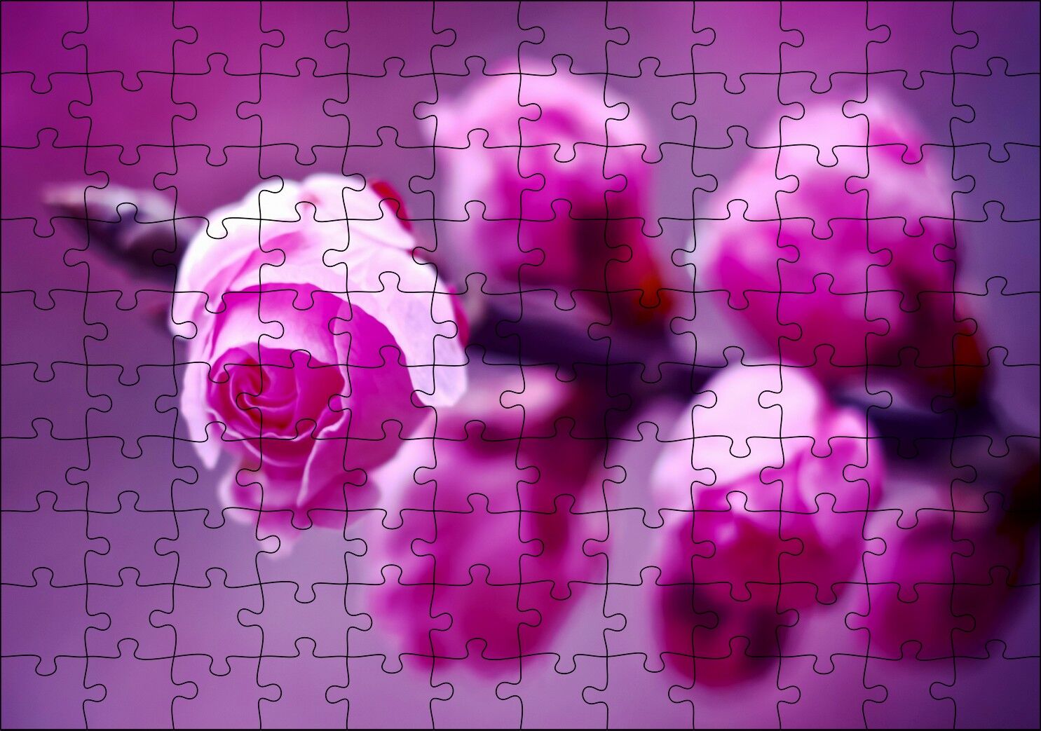 Pembe Gül Dalı Görseli Puzzle Yapboz MDF Ahşap 120 Parça 24 cm X 34 cm