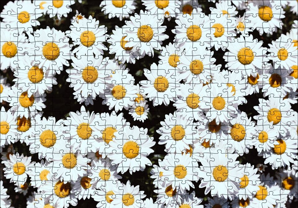 Bembeyaz Papatyalar Puzzle Yapboz MDF Ahşap 255 Parça 34 cm X 49 cm