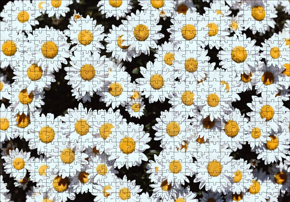 Bembeyaz Papatyalar Puzzle Yapboz MDF Ahşap 500 Parça 49 cm X 68 cm