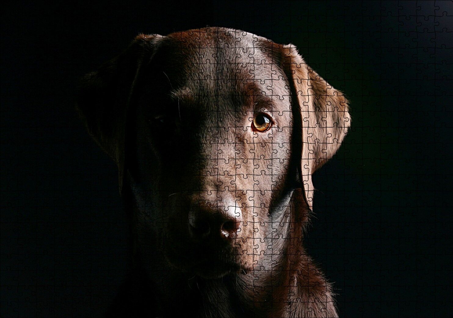 Av Köpeği Evcil Hayvanla Puzzle Yapboz MDF Ahşap 500 Parça 49 cm X 68 cm