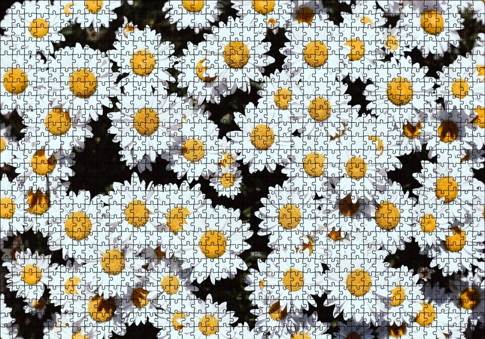 Bembeyaz Papatyalar Puzzle Yapboz MDF Ahşap 1000 Parça 49 cm X 68 cm