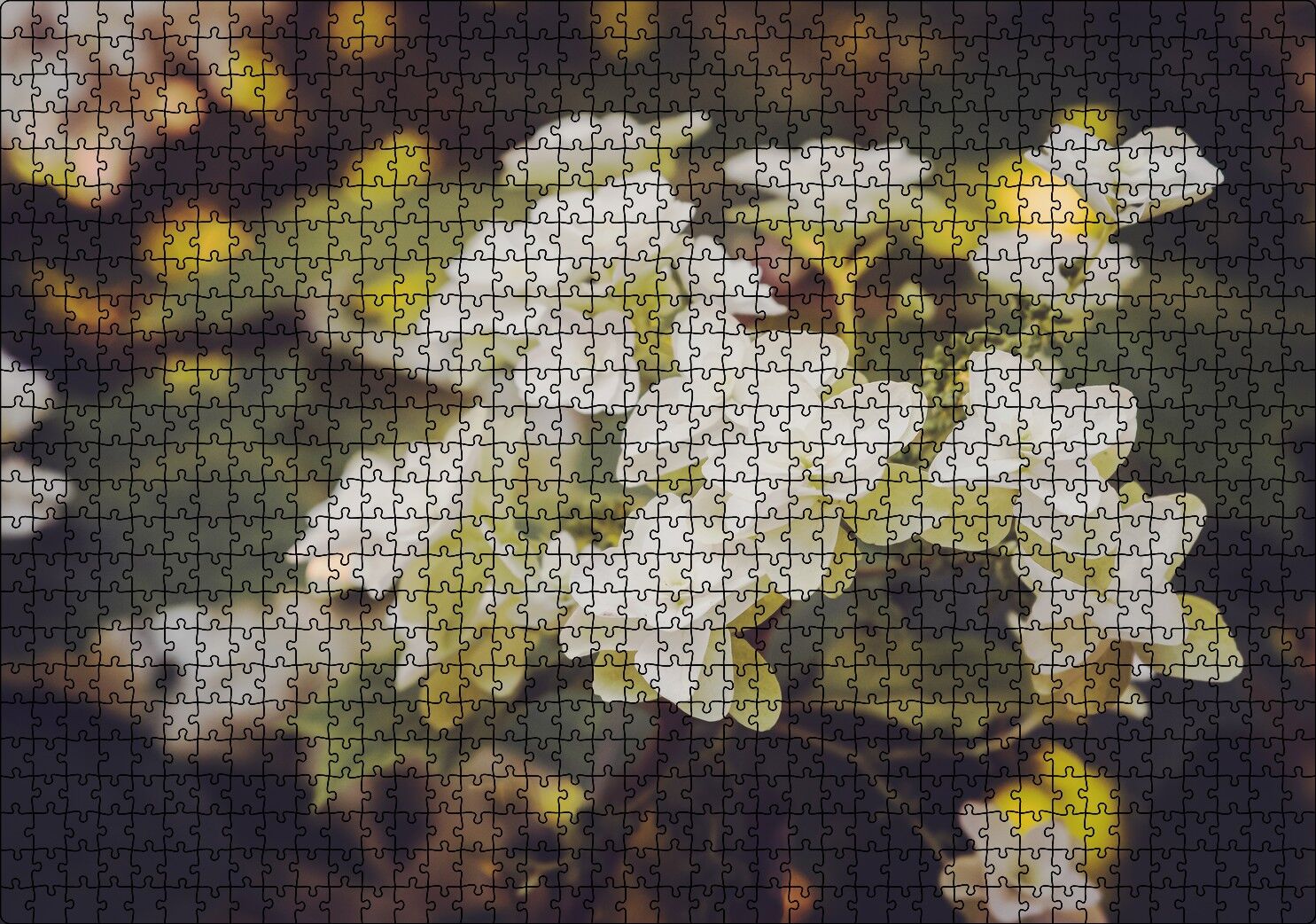 Dalda Bembeyaz Çiçekler Flu Arka Plan Puzzle Yapboz MDF Ahşap 1000 Parça 49 cm X 68 cm