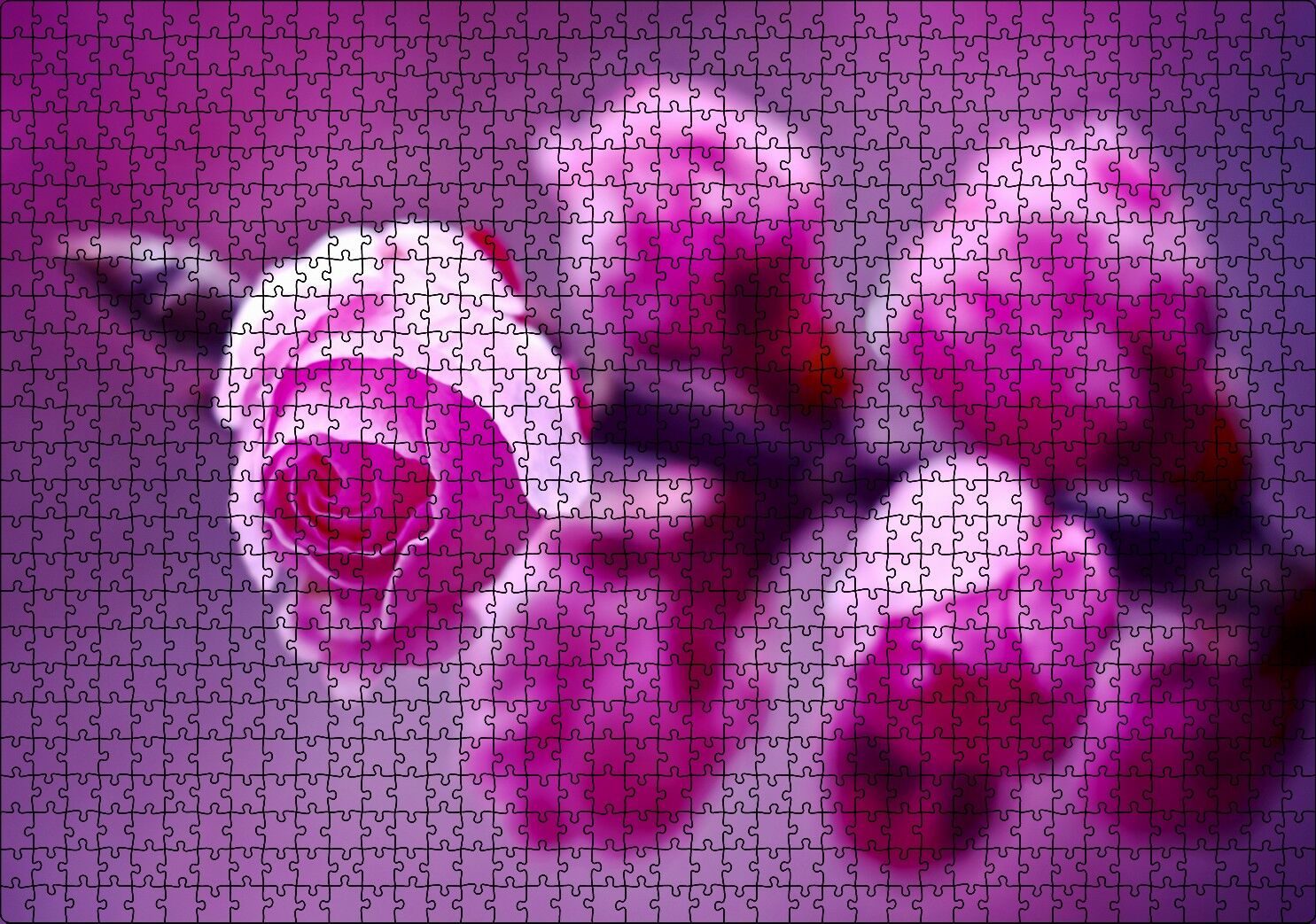 Pembe Gül Dalı Görseli Puzzle Yapboz MDF Ahşap 1000 Parça 49 cm X 68 cm