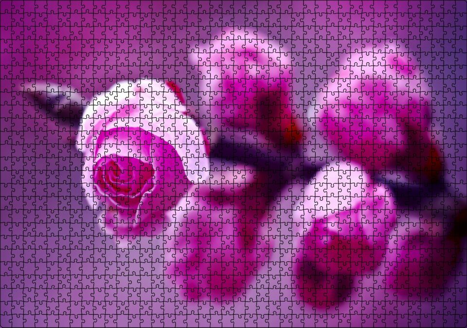 Pembe Gül Dalı Görseli Puzzle Yapboz MDF Ahşap 1000 Parça 49 cm X 68 cm