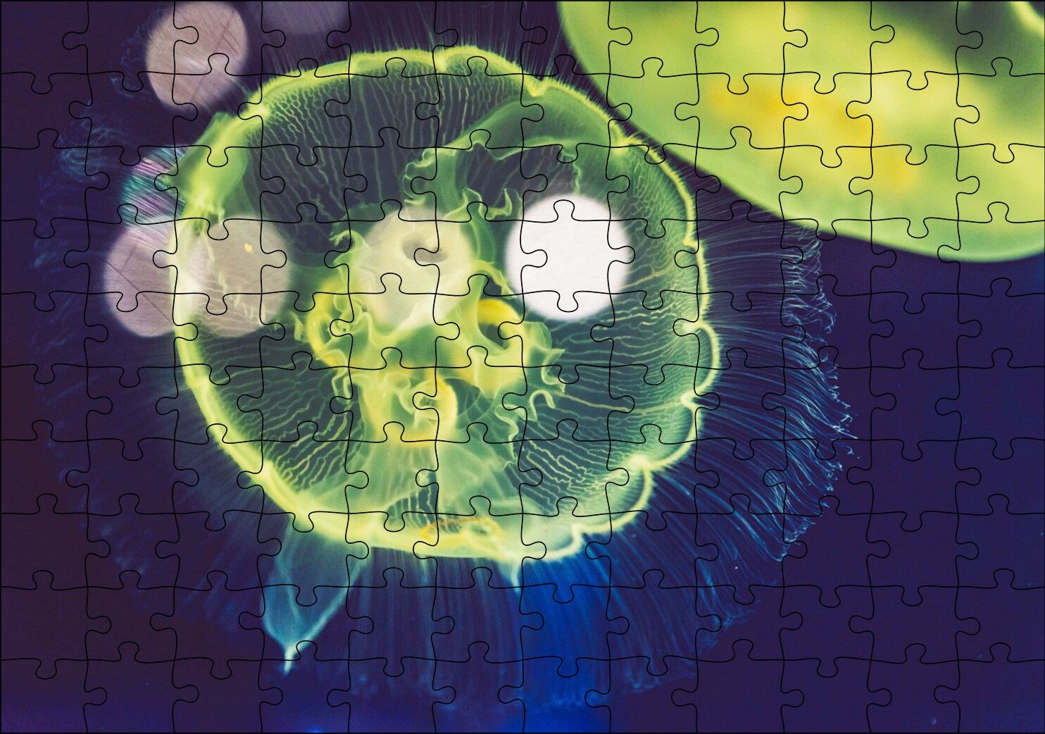 Muhteşem Güzellikte Mavi Yeşil Denizanası Puzzle Yapboz MDF Ahşap