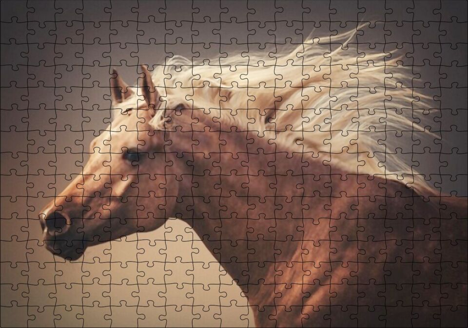 seli Puzzle Yapboz MDF Ahşap 255 Parça 34 cm X 49 cm