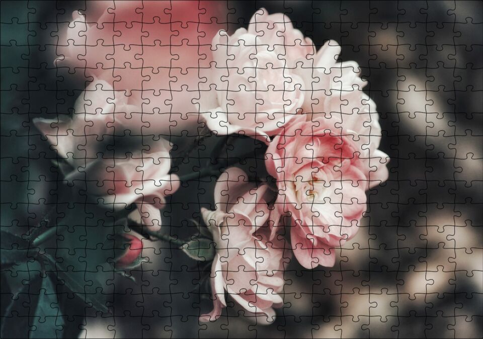 Pembe Güller Flu Arkaplan Puzzle Yapboz MDF Ahşap 255 Parça 34 cm X 49 cm