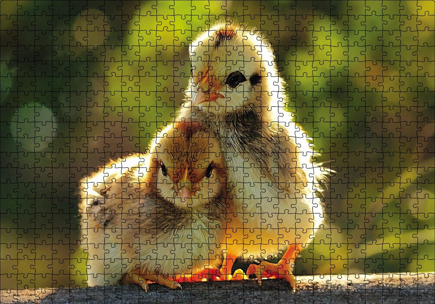 Sevimli Civcivler Puzzle Yapboz MDF Ahşap 500 Parça 49 cm X 68 cm