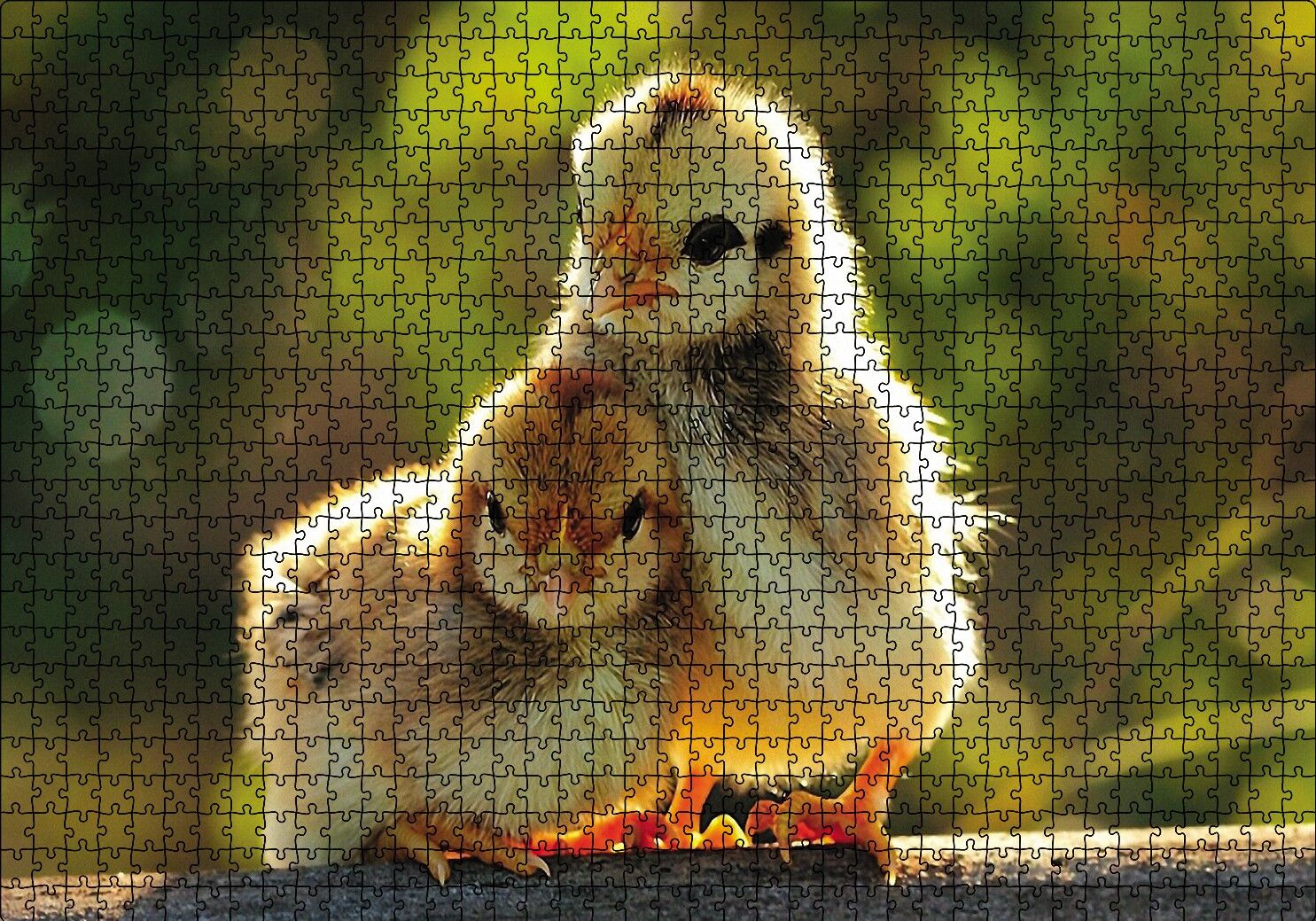 Sevimli Civcivler Puzzle Yapboz MDF Ahşap 1000 Parça 49 cm X 68 cm