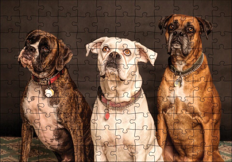 3 Sevimli Boxer Puzzle Yapboz MDF Ahşap