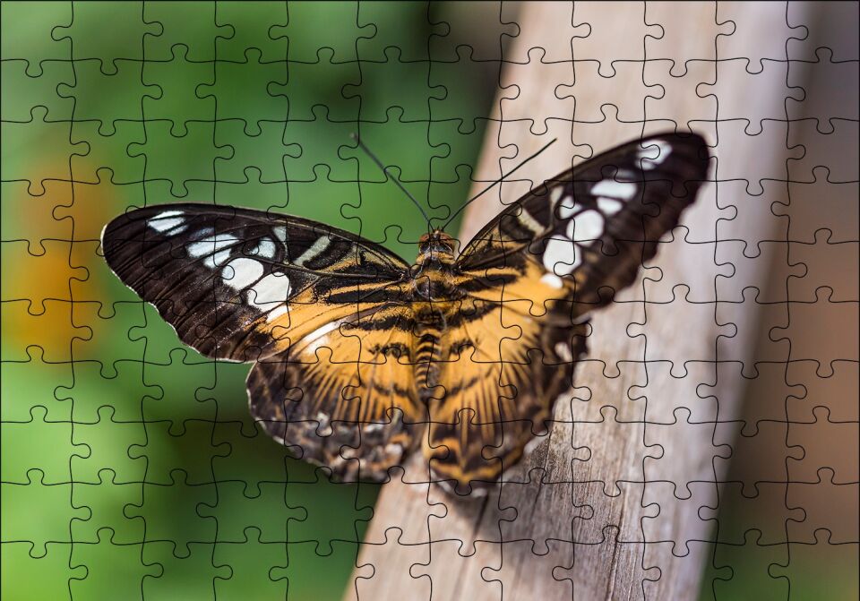 Ağaç Üzerinde Sarı Siyah Kelebek Puzzle Yapboz MDF Ahşap