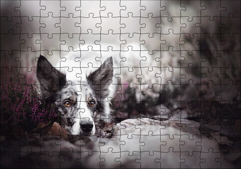 Siyah Beyaz İngliz Çoban Köpeği Puzzle Yapboz MDF Ahşap 120 Parça 24 cm X 34 cm