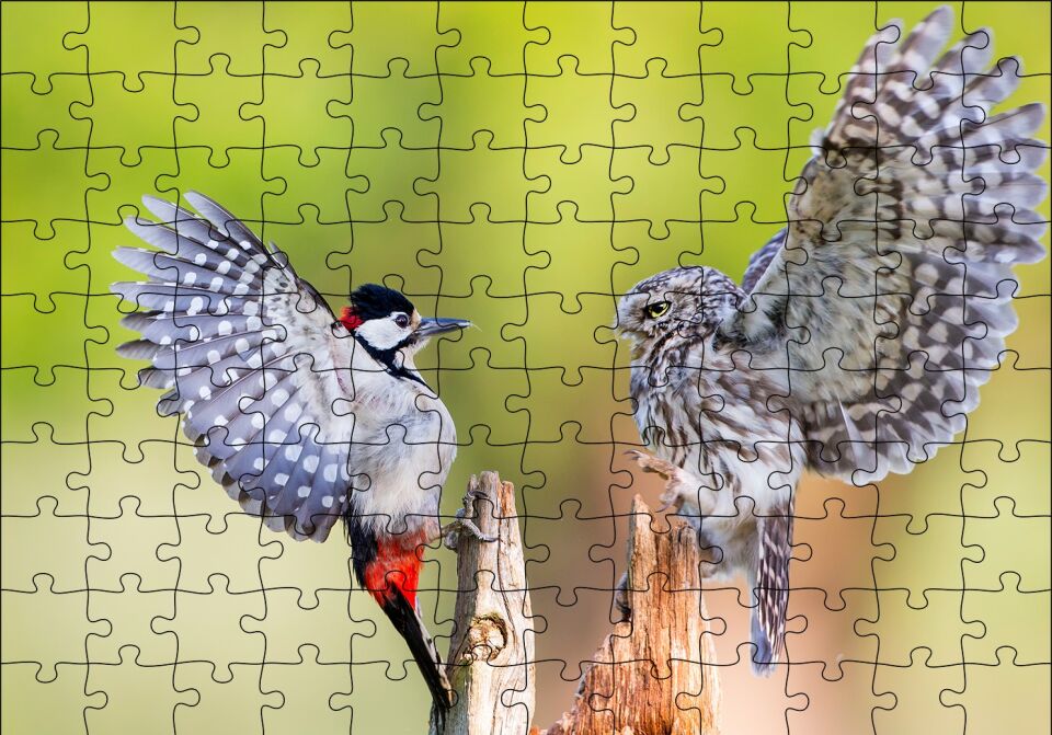 Ağaçkakan ve Baykuş Puzzle Yapboz MDF Ahşap