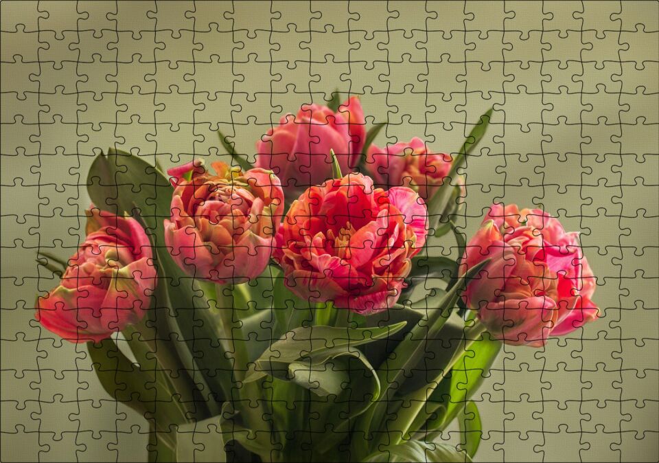 Kırmızı Laleler ve Yeşil Yaprakları Puzzle Yapboz MDF Ahşap 255 Parça 34 cm X 49 cm