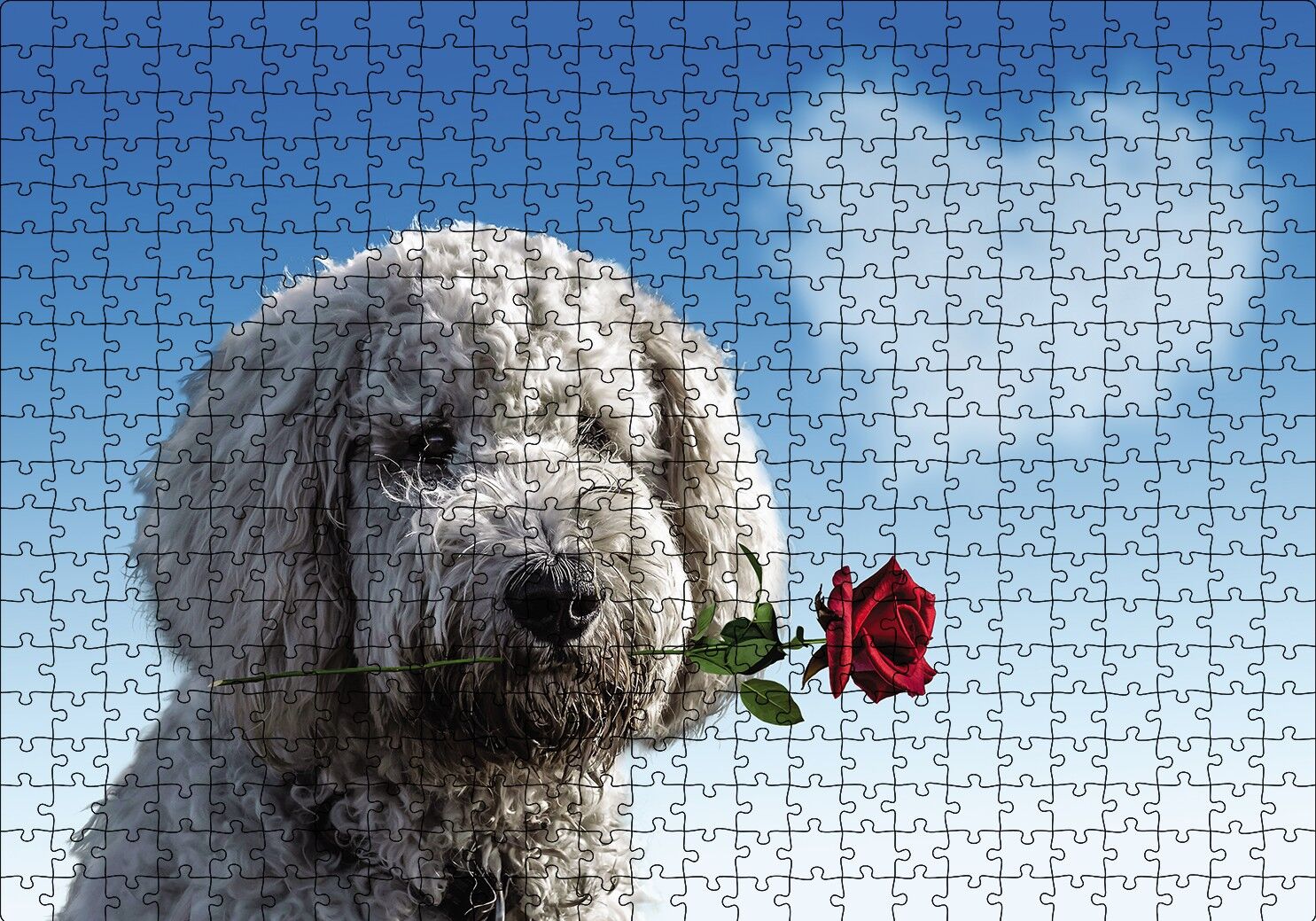 Sevimli Köpek Gül Kalp Aşk Puzzle Yapboz MDF Ahşap 500 Parça 49 cm X 68 cm