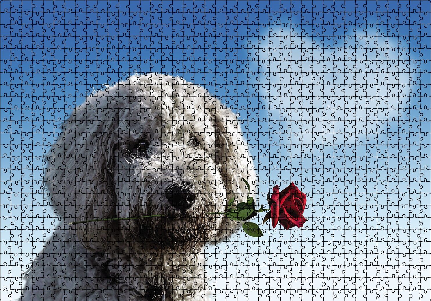 Sevimli Köpek Gül Kalp Aşk Puzzle Yapboz MDF Ahşap 1000 Parça 49 cm X 68 cm