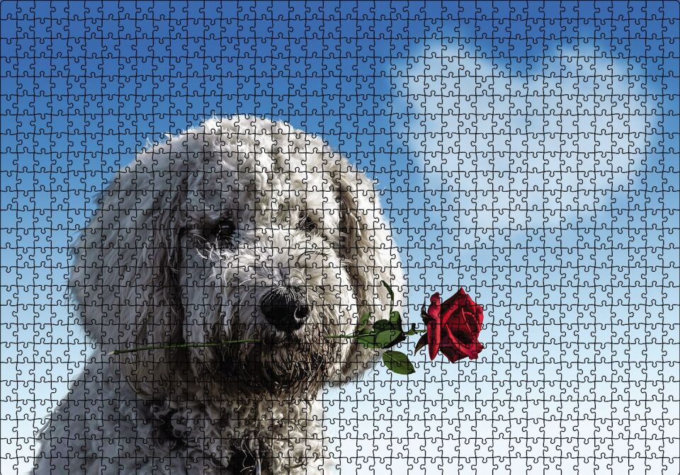Sevimli Köpek Gül Kalp Aşk Puzzle Yapboz MDF Ahşap 1000 Parça 49 cm X 68 cm