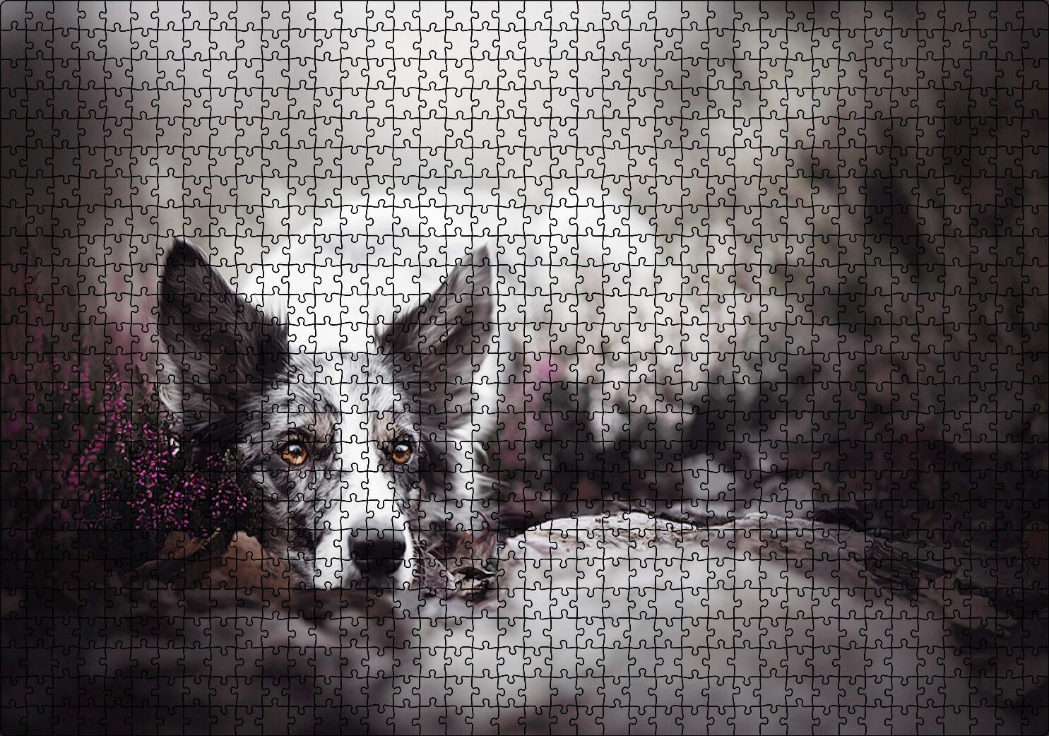 Siyah Beyaz İngliz Çoban Köpeği Puzzle Yapboz MDF Ahşap 1000 Parça 49 cm X 68 cm