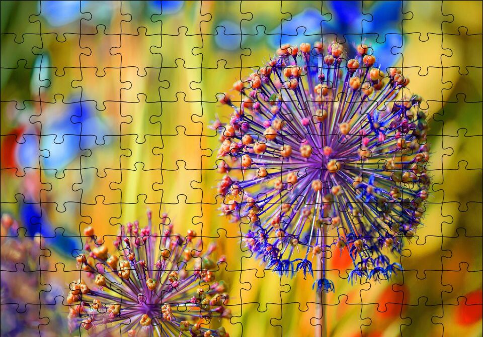 Allium Carinatum Puzzle Yapboz MDF Ahşap