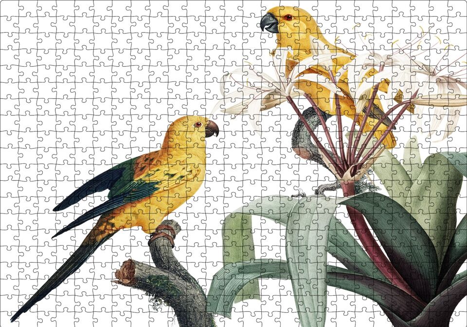 Dallar Arasında Sarı Papağanlar Gravür Puzzle Yapboz MDF Ahşap 500 Parça 49 cm X 68 cm