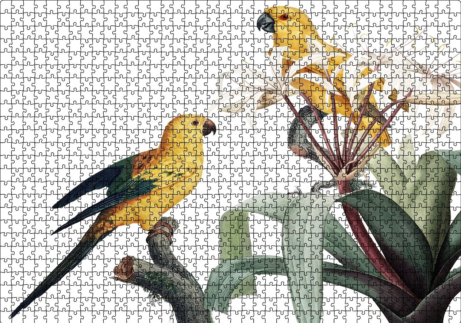 Dallar Arasında Sarı Papağanlar Gravür Puzzle Yapboz MDF Ahşap 1000 Parça 49 cm X 68 cm