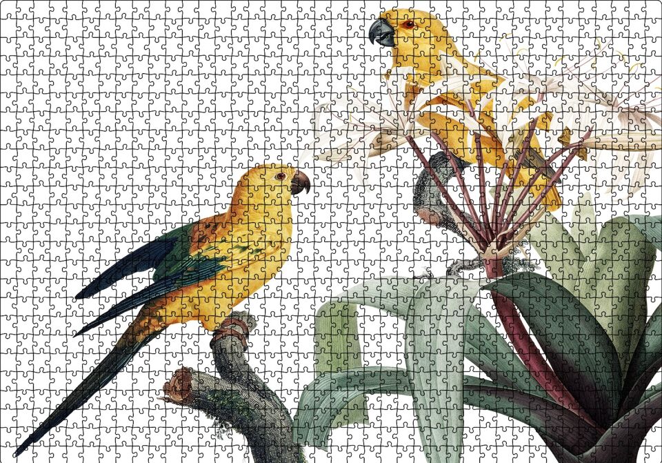 Dallar Arasında Sarı Papağanlar Gravür Puzzle Yapboz MDF Ahşap 1000 Parça 49 cm X 68 cm