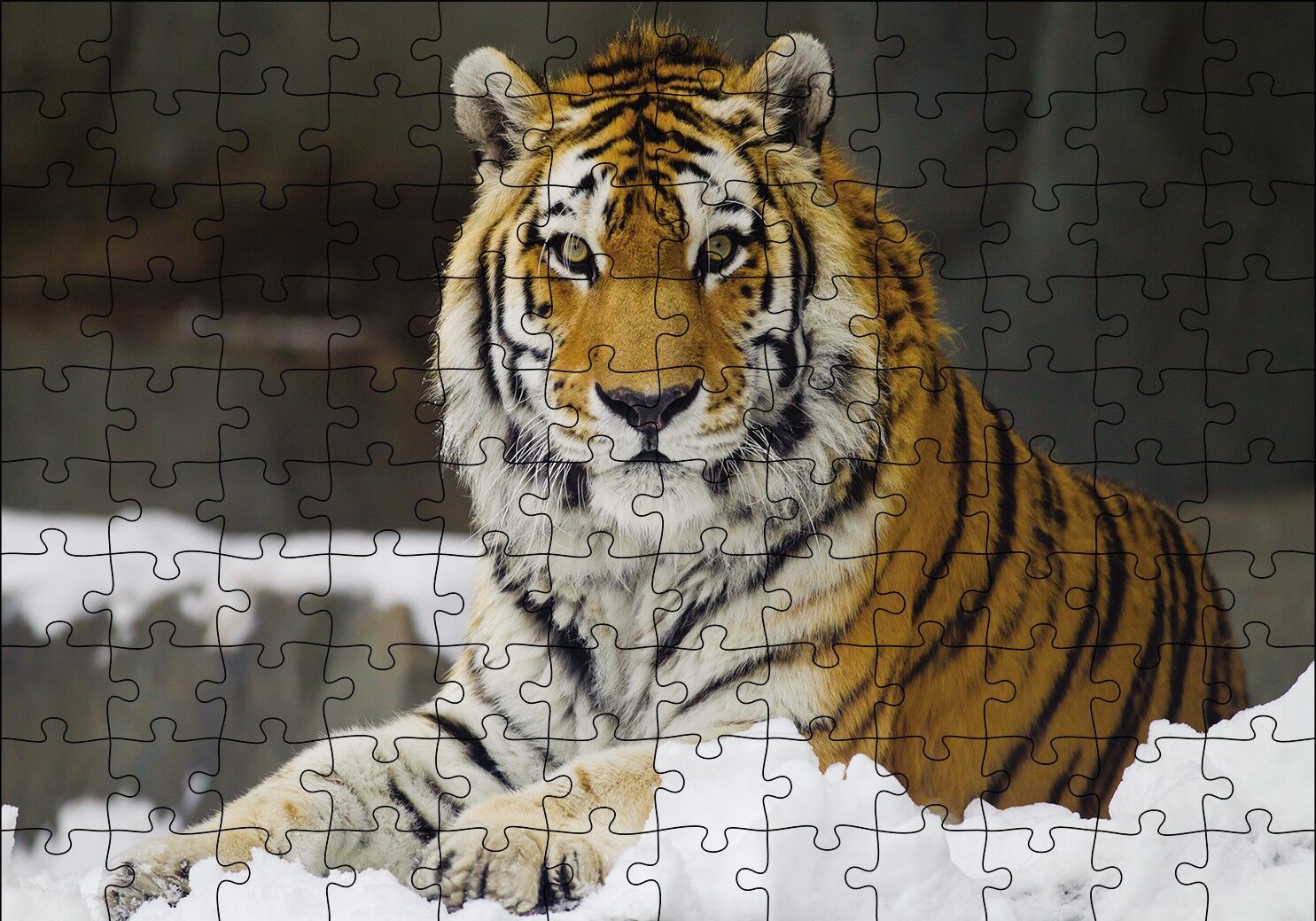 Sibirya Kaplanı Puzzle Yapboz MDF Ahşap 120 Parça 24 cm X 34 cm