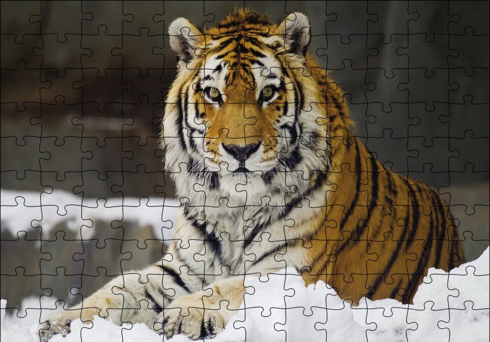 Sibirya Kaplanı Puzzle Yapboz MDF Ahşap 120 Parça 24 cm X 34 cm