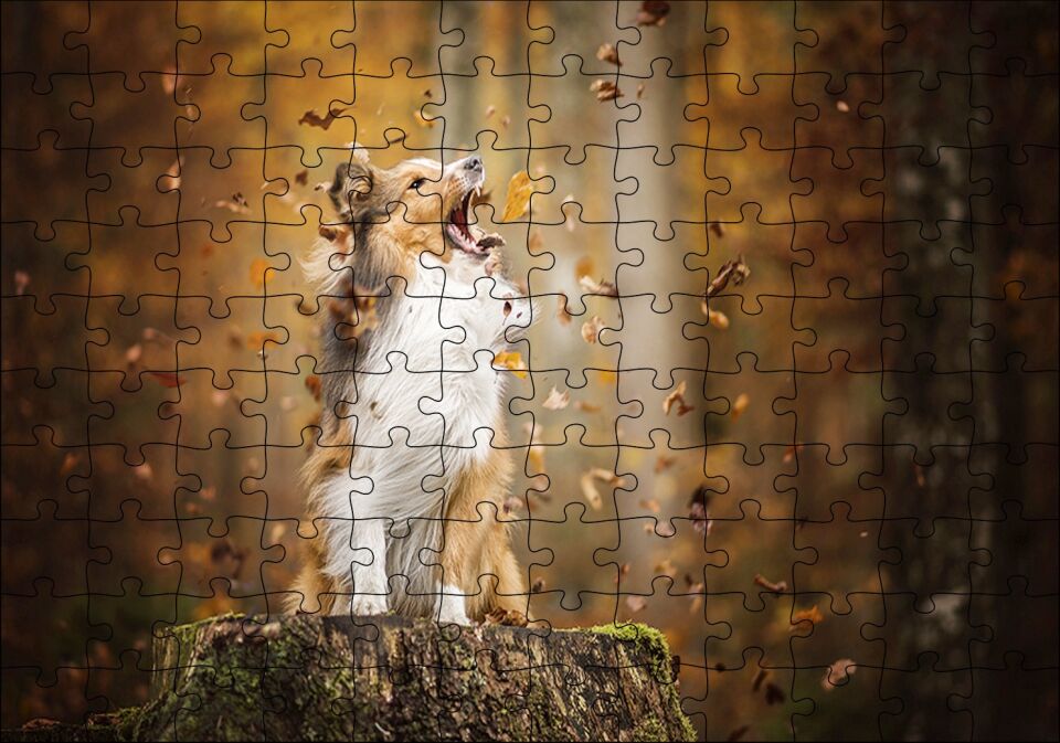 Rüzgarla Kavga Eden Köpekçik Puzzle Yapboz MDF Ahşap