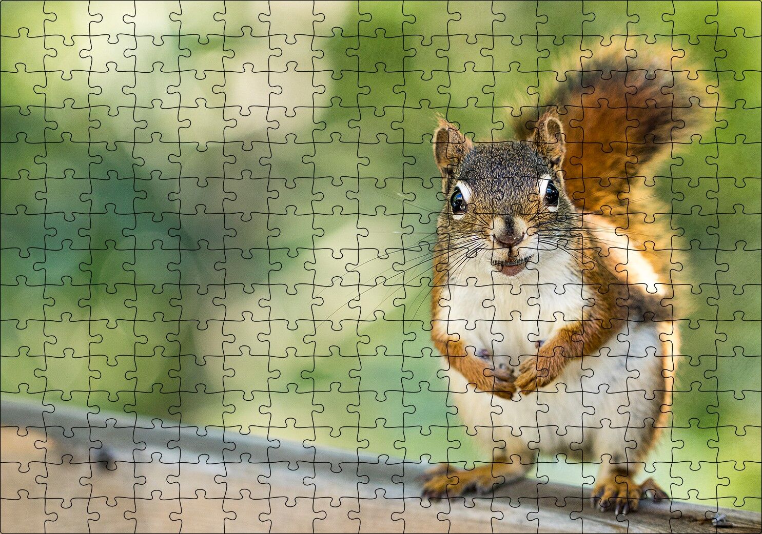 Daldaki Sevimli Küçük Sincap Puzzle Yapboz MDF Ahşap 255 Parça 34 cm X 49 cm