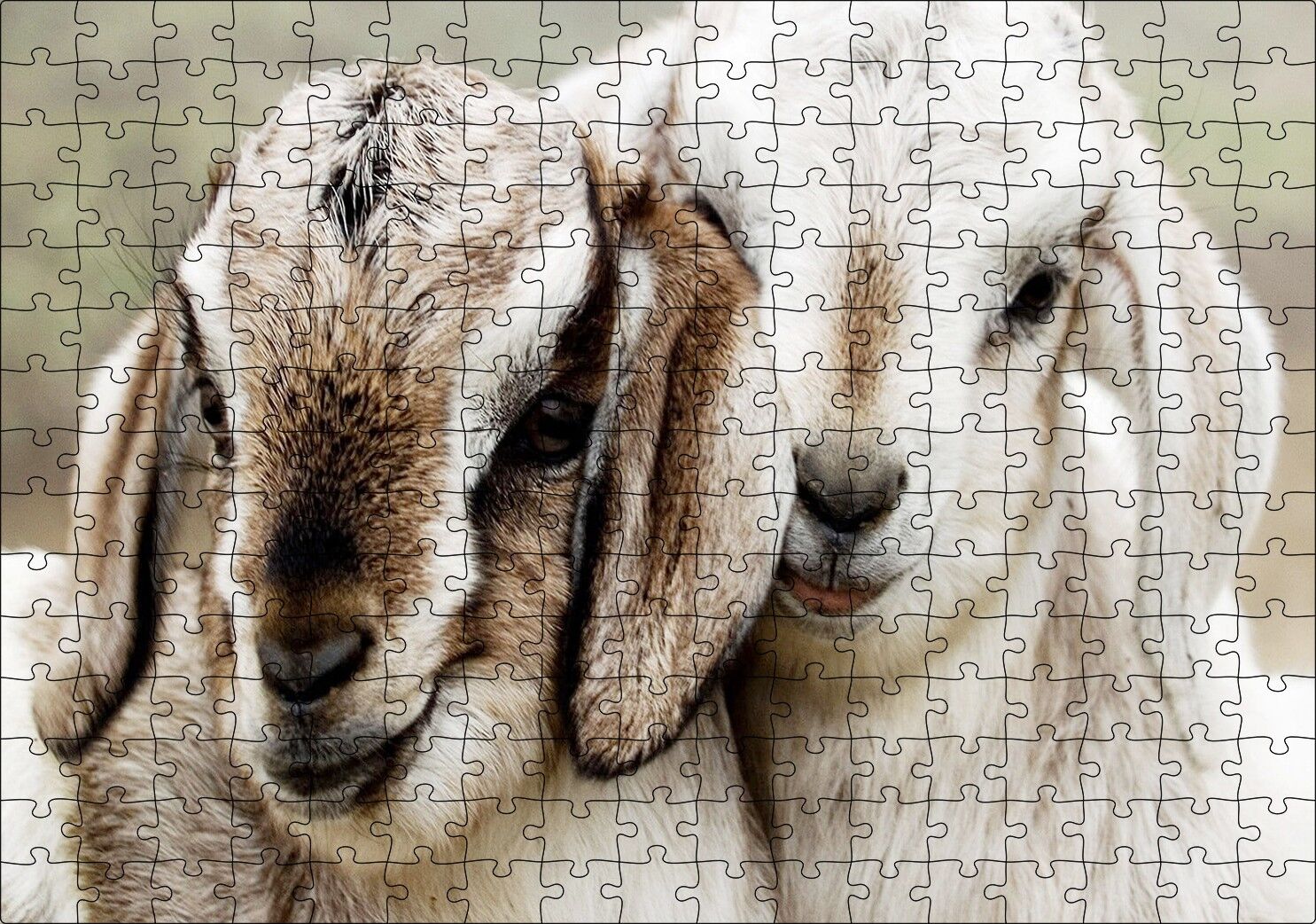 Keçi Yvruları Görseli Puzzle Yapboz MDF Ahşap 255 Parça 34 cm X 49 cm