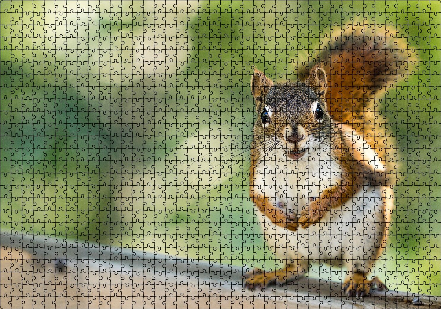 Daldaki Sevimli Küçük Sincap Puzzle Yapboz MDF Ahşap 1000 Parça 49 cm X 68 cm