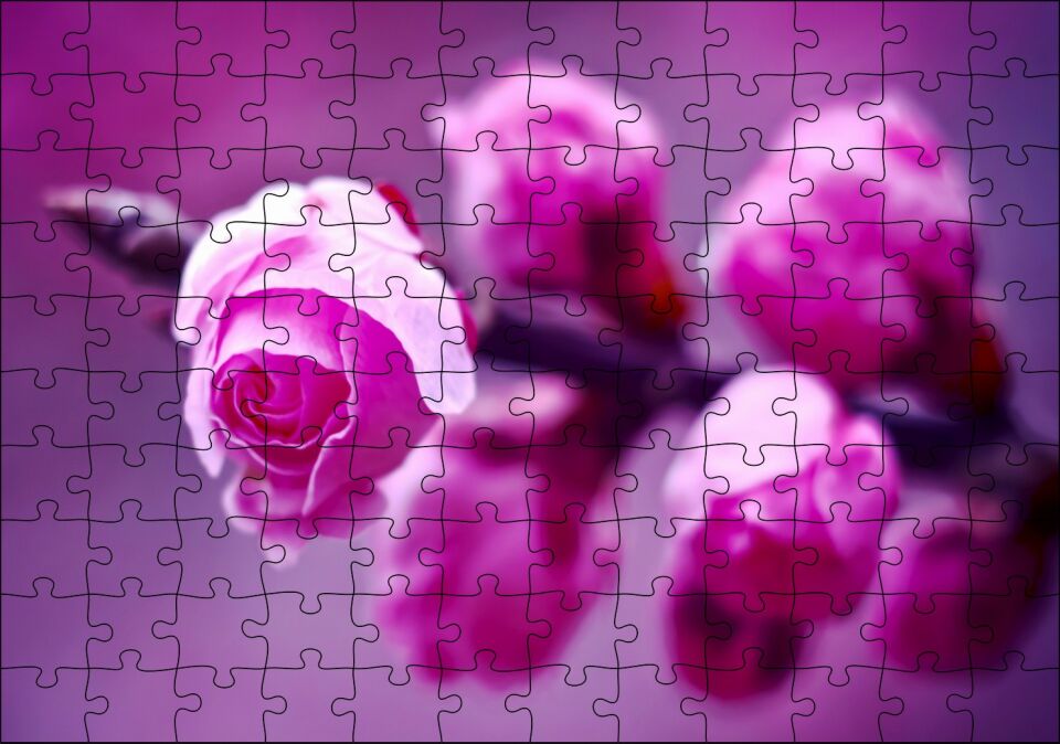 Pembe Gül Dalı Görseli Puzzle Yapboz MDF Ahşap