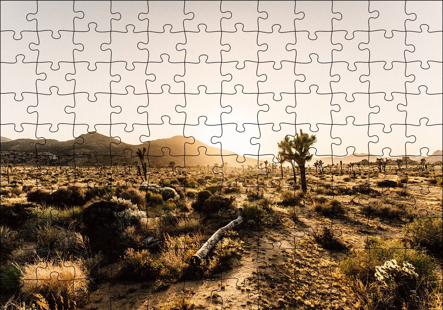 Çölde Gündoğumu Otlar ve Kaktüsler Puzzle Yapboz MDF Ahşap 120 Parça 24 cm X 34 cm