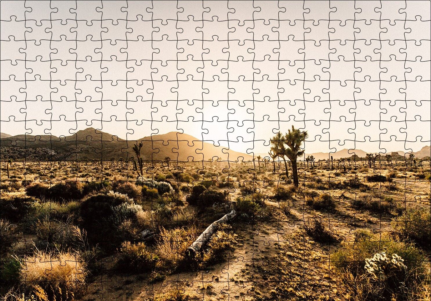Çölde Gündoğumu Otlar ve Kaktüsler Puzzle Yapboz MDF Ahşap 255 Parça 34 cm X 49 cm