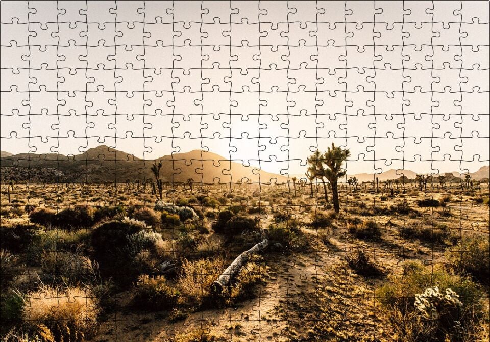Çölde Gündoğumu Otlar ve Kaktüsler Puzzle Yapboz MDF Ahşap 255 Parça 34 cm X 49 cm