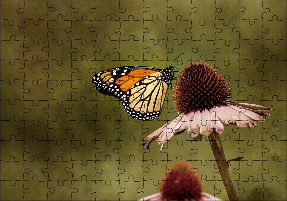 Çiçek Üzerindeki Muhteşem Kelebek Puzzle Yapboz MDF Ahşap