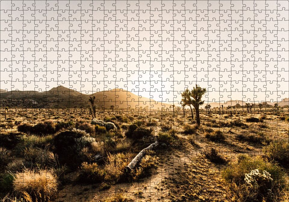 Çölde Gündoğumu Otlar ve Kaktüsler Puzzle Yapboz MDF Ahşap 500 Parça 49 cm X 68 cm