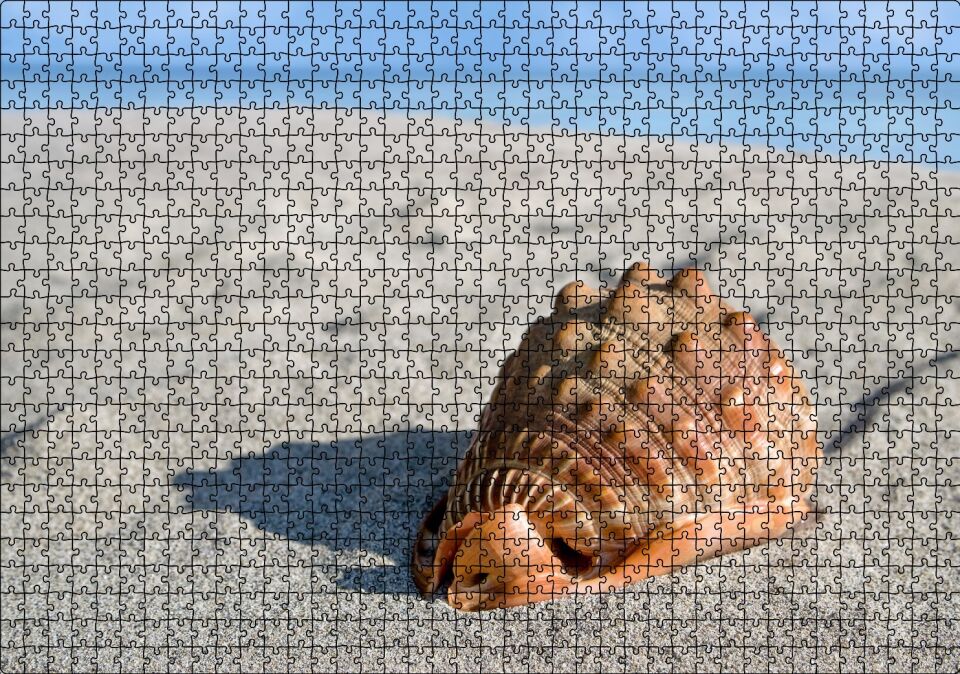 Kumsalda Dev Deniz Kabuğu Puzzle Yapboz MDF Ahşap 1000 Parça 49 cm X 68 cm