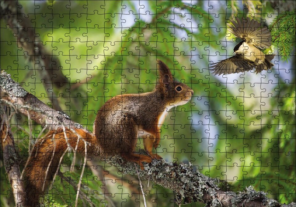 Sincap Kuş Muhabbeti Puzzle Yapboz MDF Ahşap 255 Parça 34 cm X 49 cm